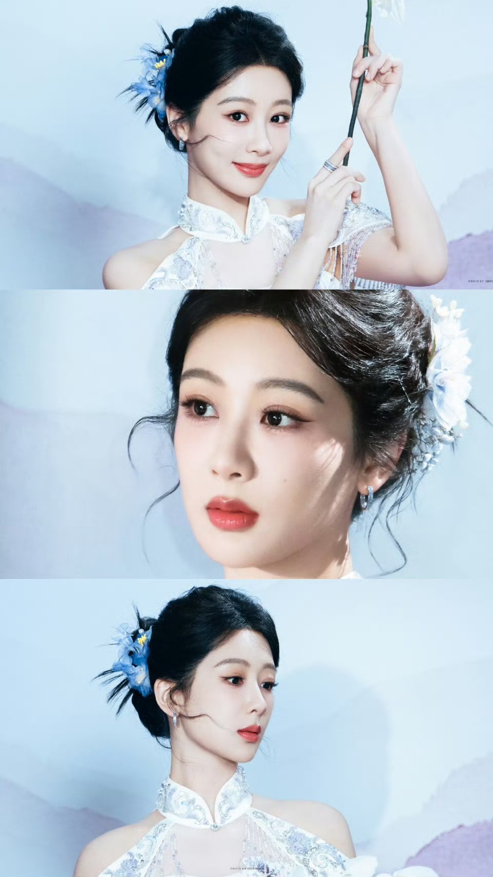 生命树 yz杨紫白菊 yz杨紫生命树“你应该去扬帆远航，应该于困境中擦出火光” 