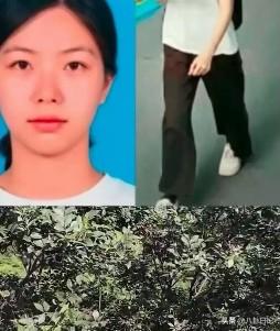 程梦圆，你到底在哪里？
找你实在太难了
这样的山怎么给你爬上去的

好多人说程梦