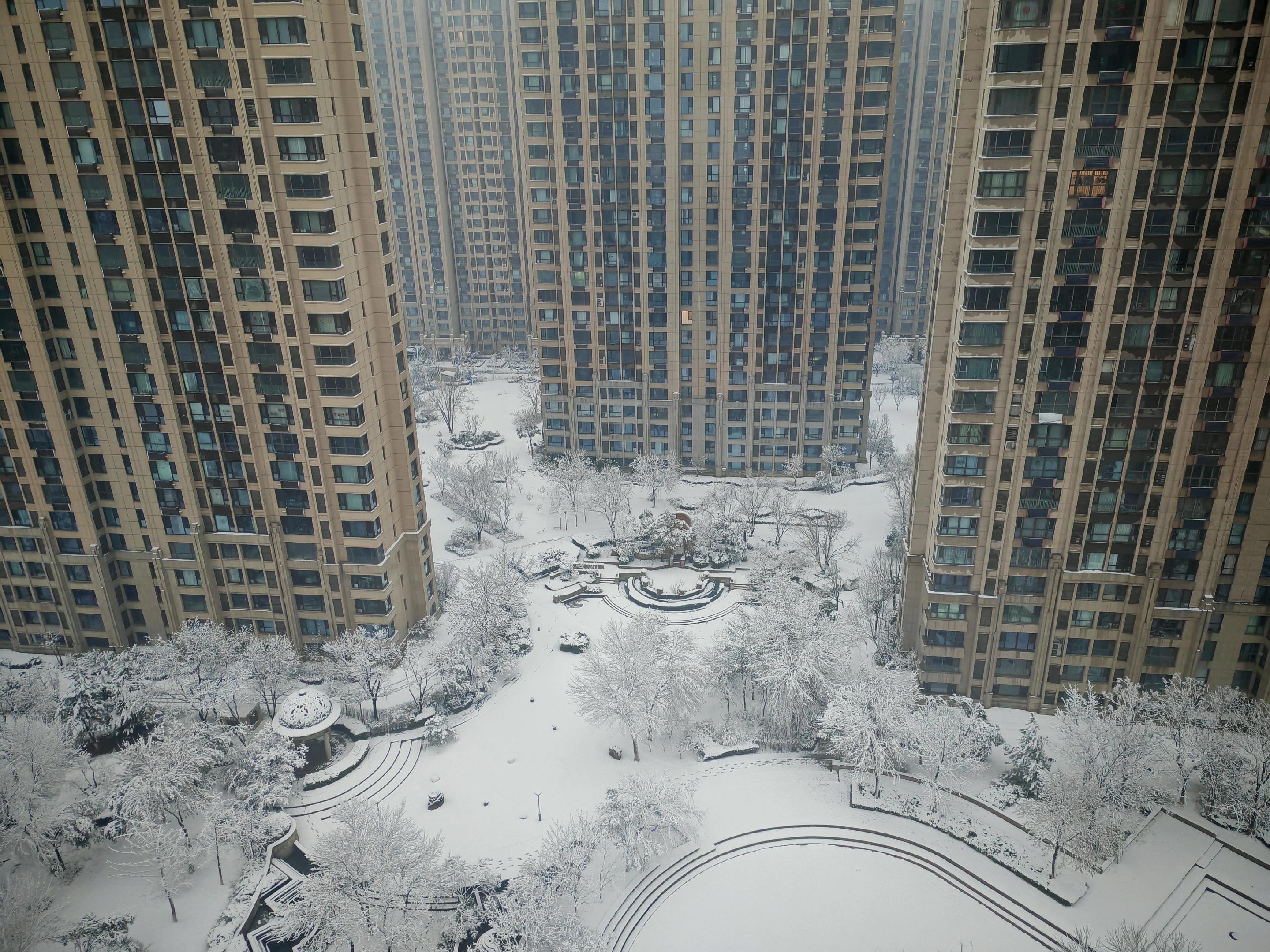 推窗遇见冬日迟来的告白，愿这份洁白，温柔你的三月天。❄️敬邢台昨夜迟来的雪！