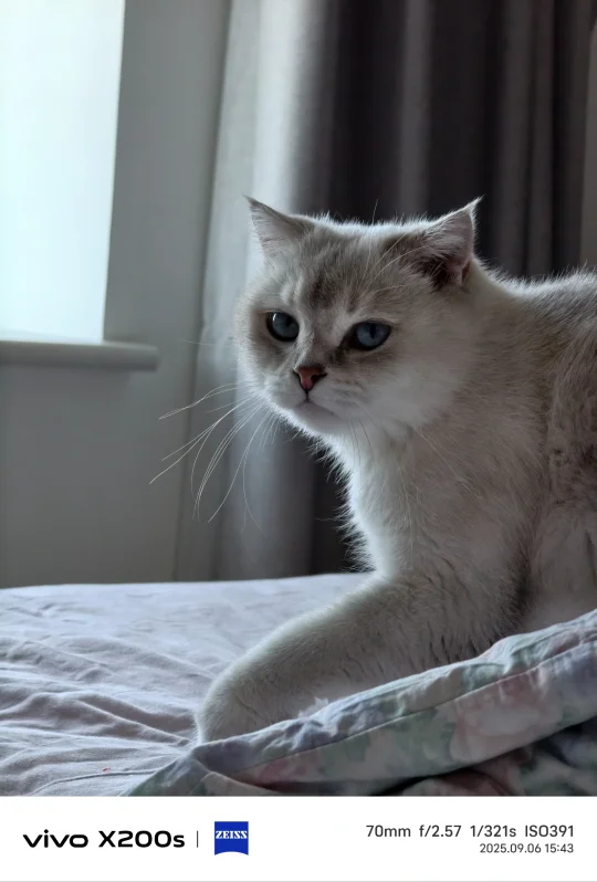 舔舔舔yunyum…嗯？花生什么大树