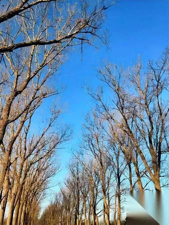 亲戚越来越难聚？

90后00后早看透了

现在走亲戚，早不是拎袋水果唠嗑的画风