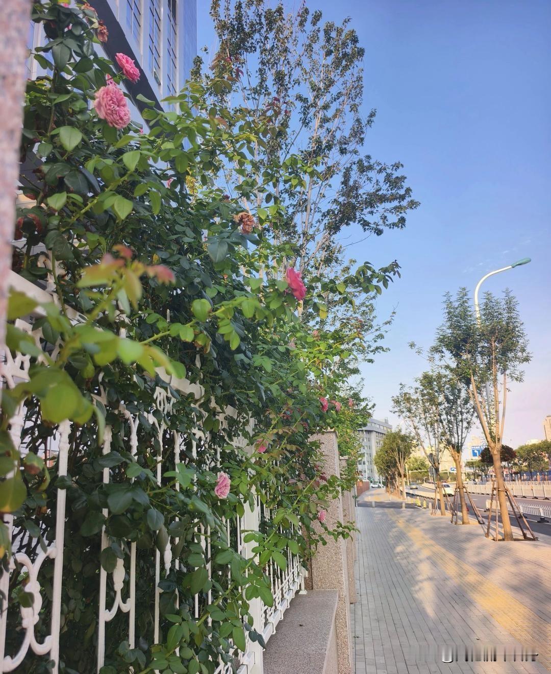 近期朋友家浙大AI博士的校招经历，让我真切感受到当下就业市场的残酷分层。普通本科