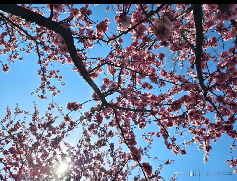 有没有一种感觉
时间就像开了倍速一样，明明刚过完年没多久啊！
清明过了，暖气停了