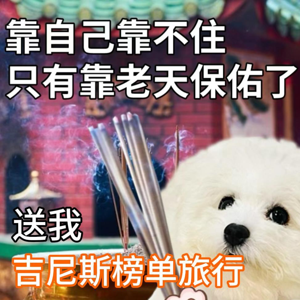 #小狗2年游57个城市获吉尼斯证书#我也不想打工，我想出去旅行，狗狗都比我幸福，