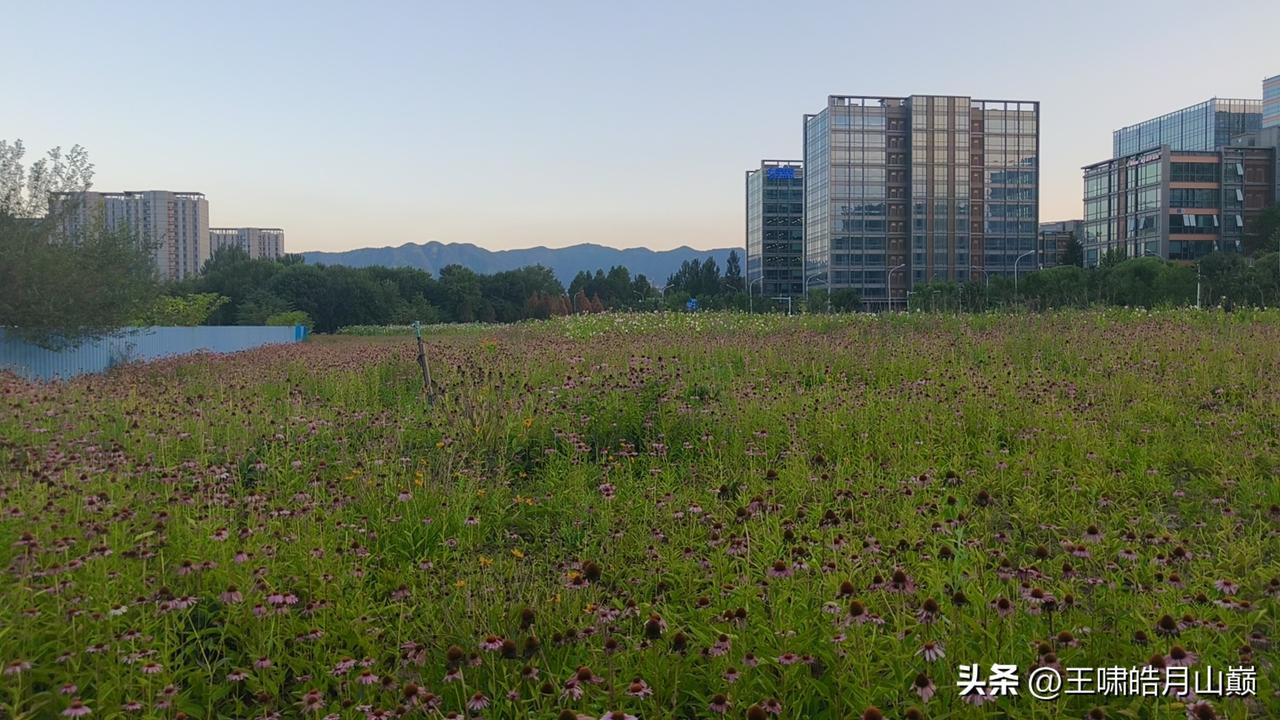 人生就应该享受当下  
   很多人都想着，以后有什么计划，计划着自己以后可以做