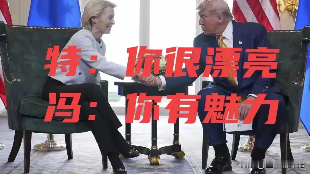 这不就是“周瑜打黄盖”吗？

欧盟用上交15%的关税以及1.35万亿美元来获得和