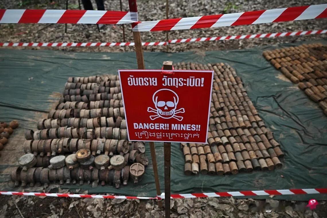 心不诚不灵  边境地雷炸伤两泰军 泰国宣布暂停执行泰柬和平协议
泰国皇家陆军8月