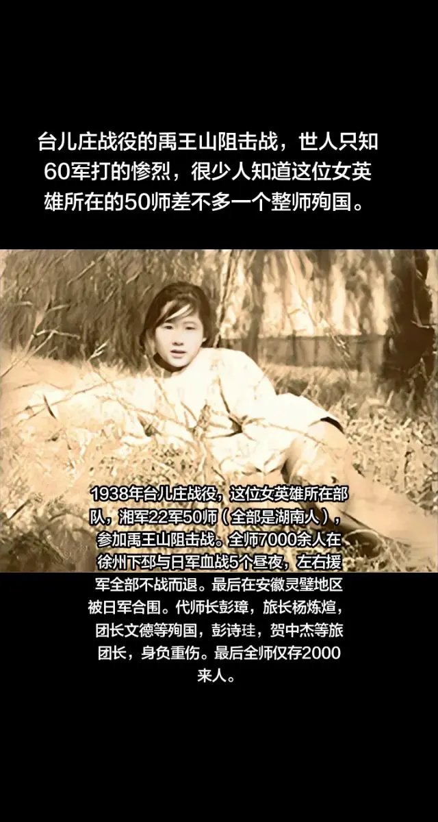 台儿庄战役刘守玟湖南湘军禹王山战役