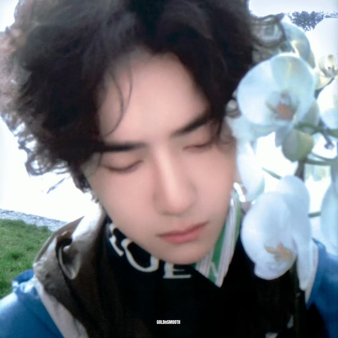 美王一博 cr:logo 