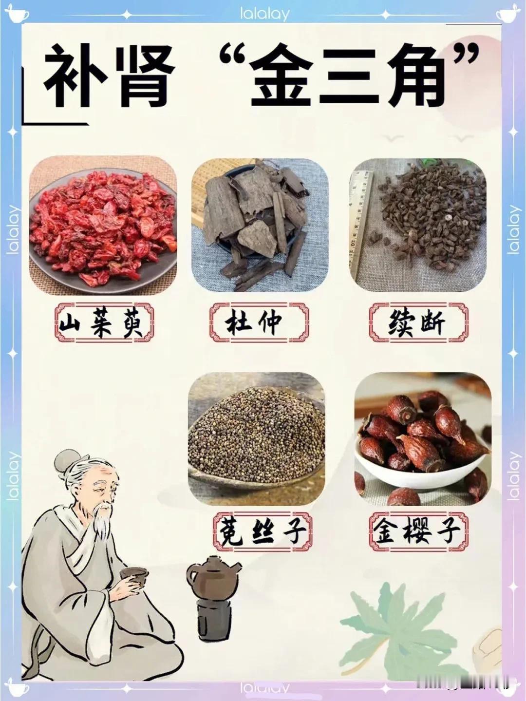 补肾金三角：山茱萸、杜仲、续断，你的肾健康守护者！

在忙碌的生活中，我们往往忽