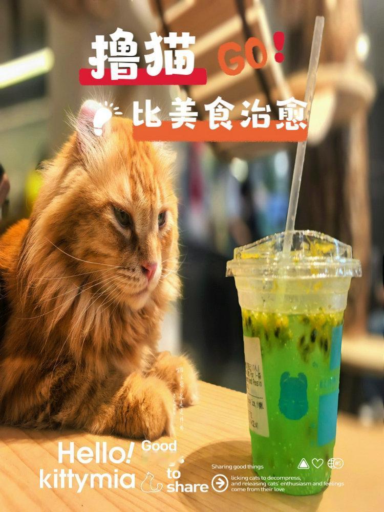 广州连日阴雨绵绵🌧️
户外根本没法逛，宅家又闷得慌，逛街也没兴趣
无意间挖到体