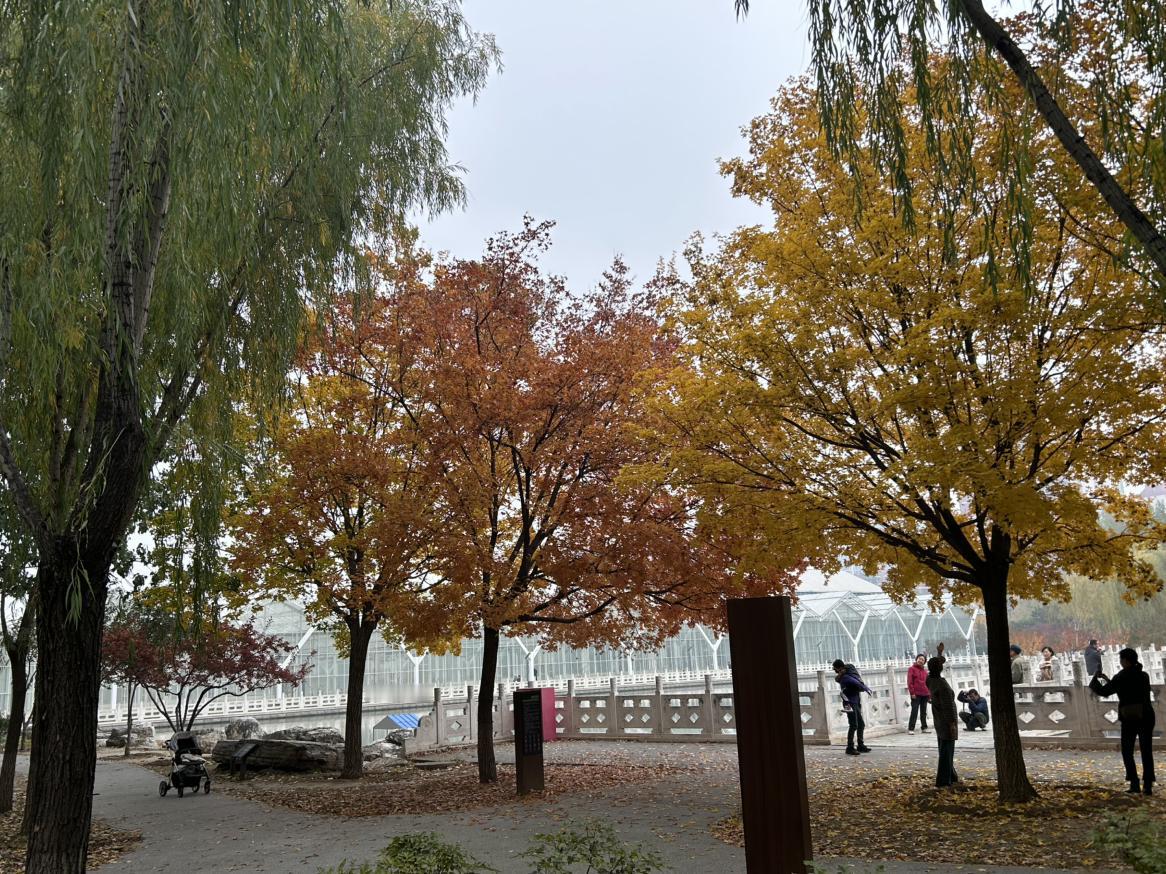 我的今日状态：😁轻松愉快
我这里的天气：☀️晴天

今天围着湖散步，追着湖中的