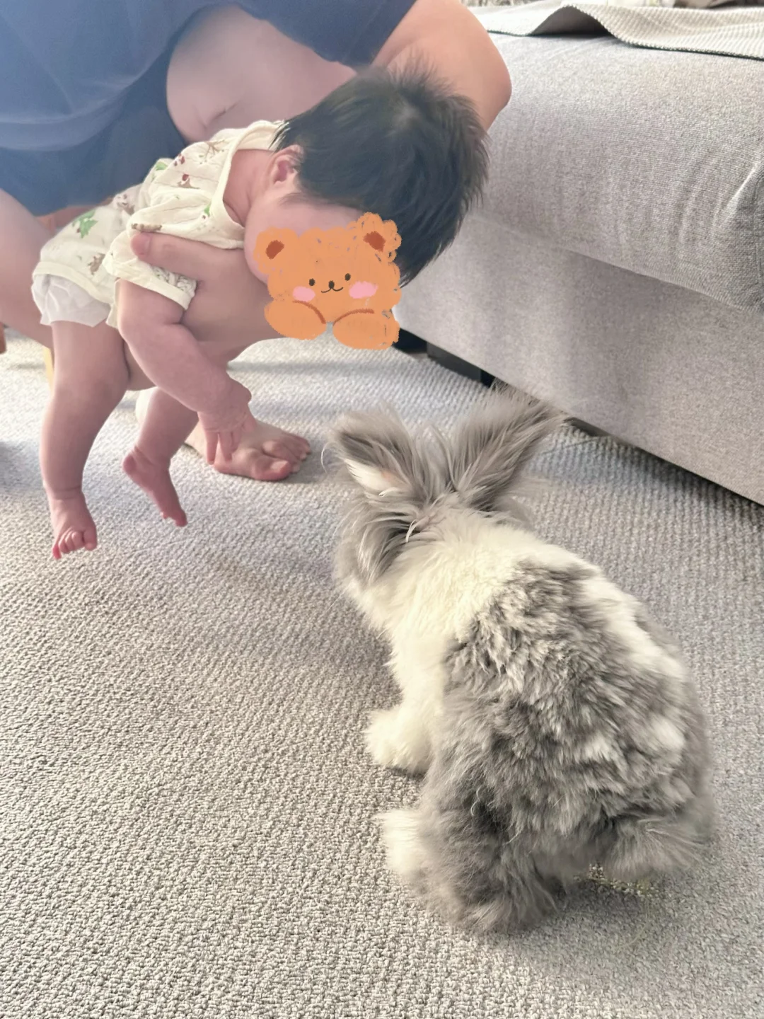 夏日炎炎，有妹妹真甜
