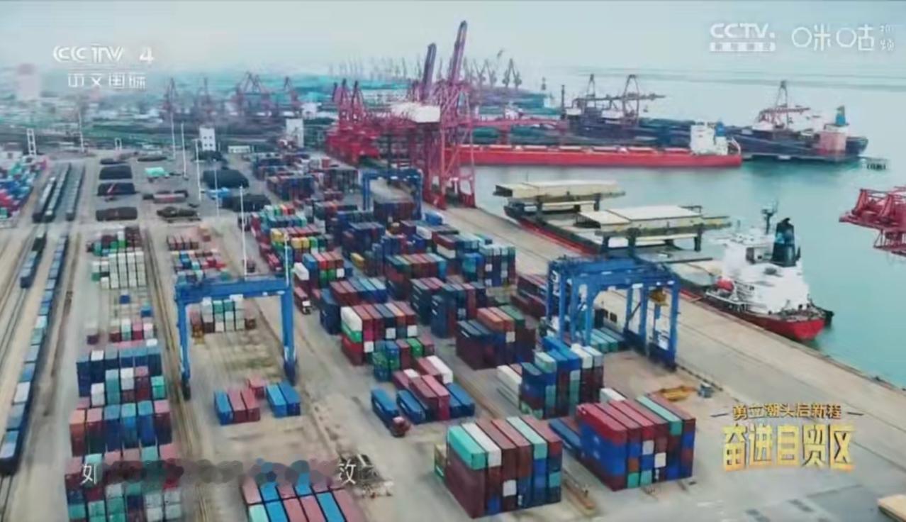 自贸试验区的港口里，彩色集装箱层层堆叠，红色岸桥林立作业，巨轮穿梭于碧波之上；城