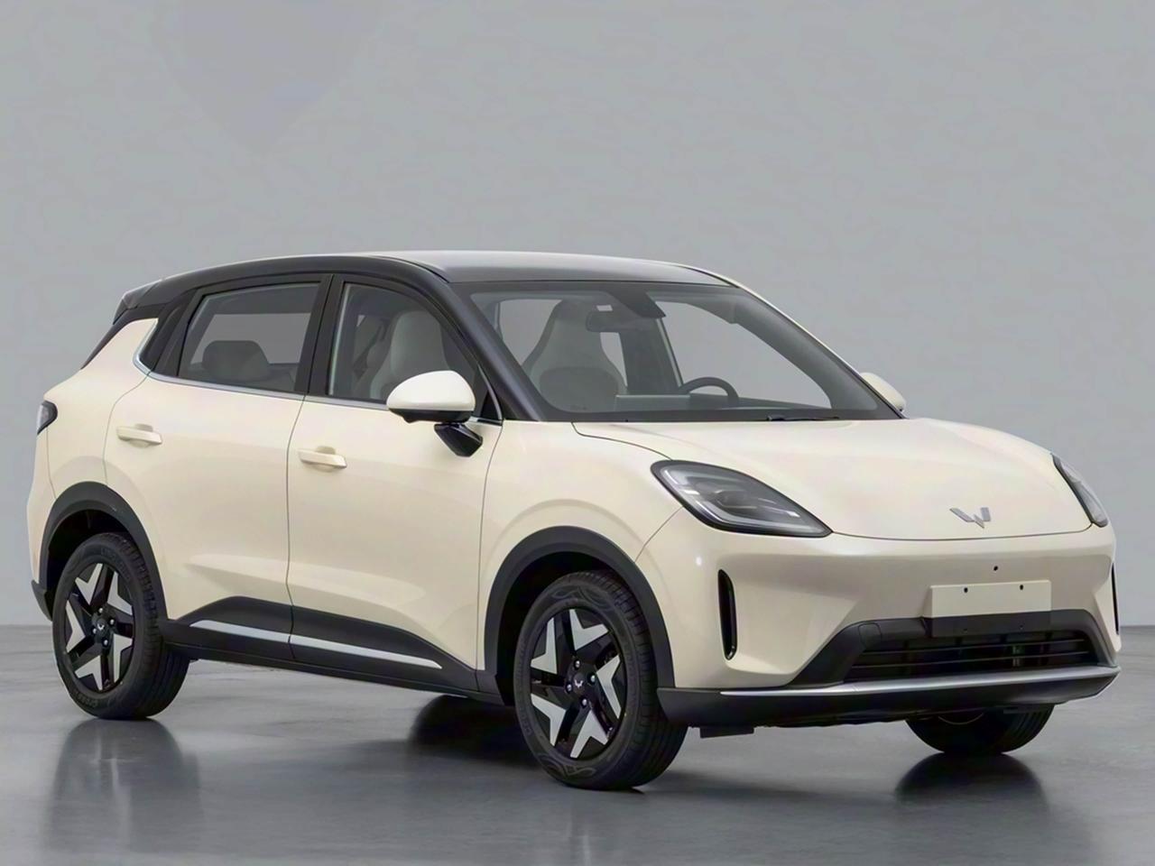 五菱缤果S，完全可以定位为SUV，这样销量还能更是一层楼。

一般的小型和紧凑型