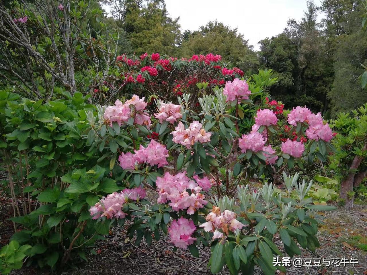 跟朋友公园散步，朋友问我，你们天津市暖气补助多少钱，我脱口而出520块钱！我反嘴