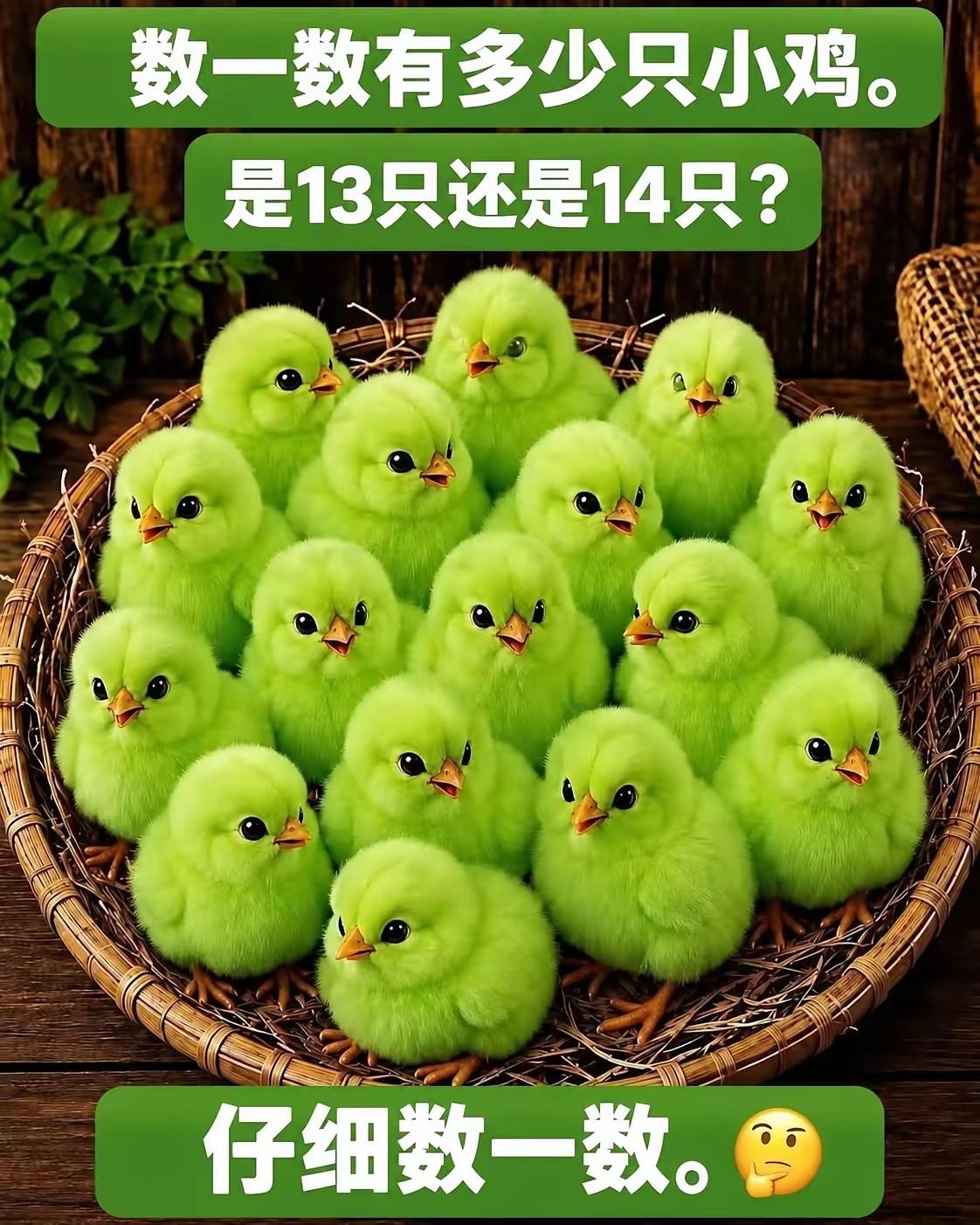 多少只小鸡？我怎么对自己产生怀疑了呢？
眼力挑战来啦！数一数篮子里一共有多少只绿