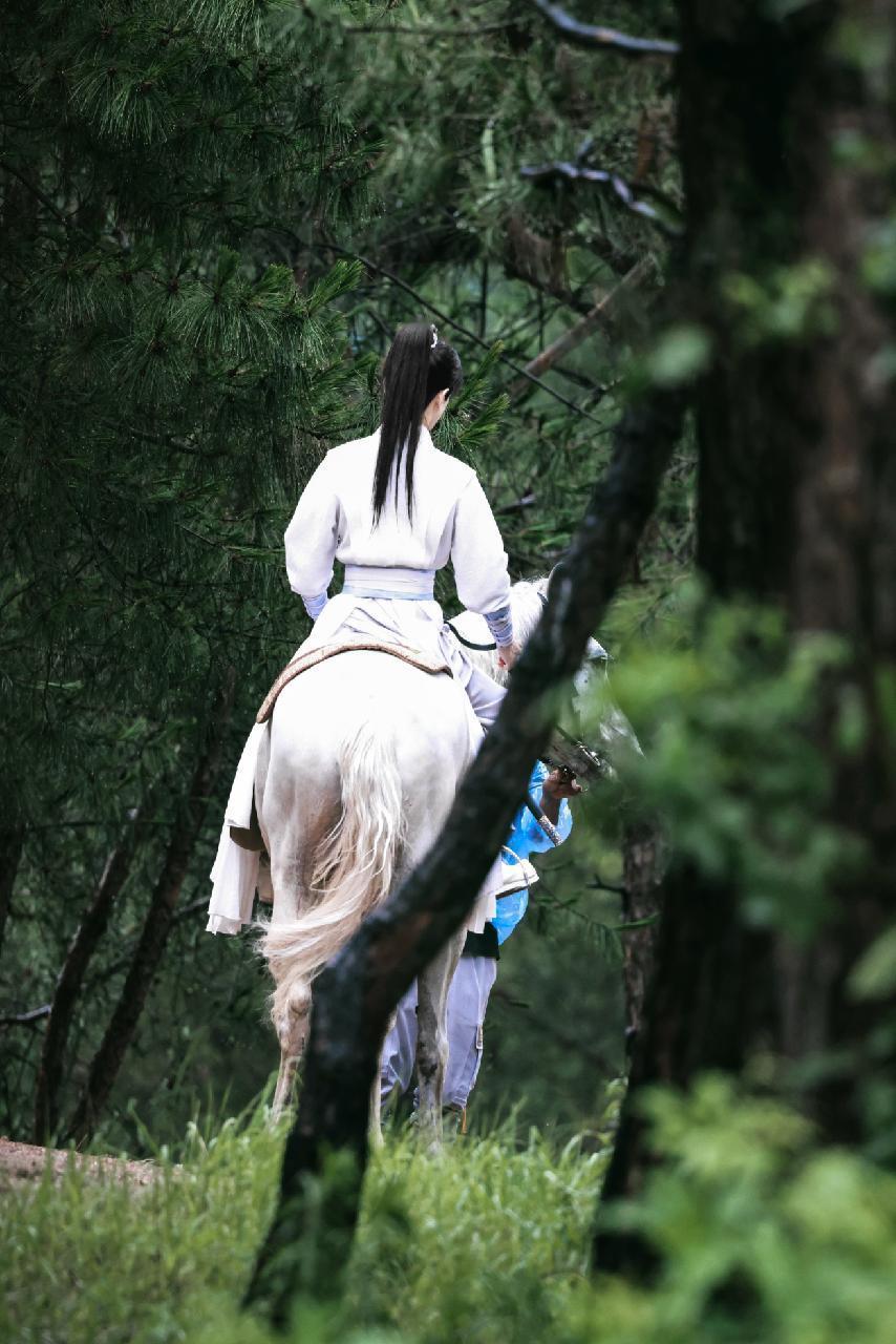 莲花楼  “李相夷天下第一，李莲花长命百岁”腊月二十七，李相夷葬身东海，自此，相