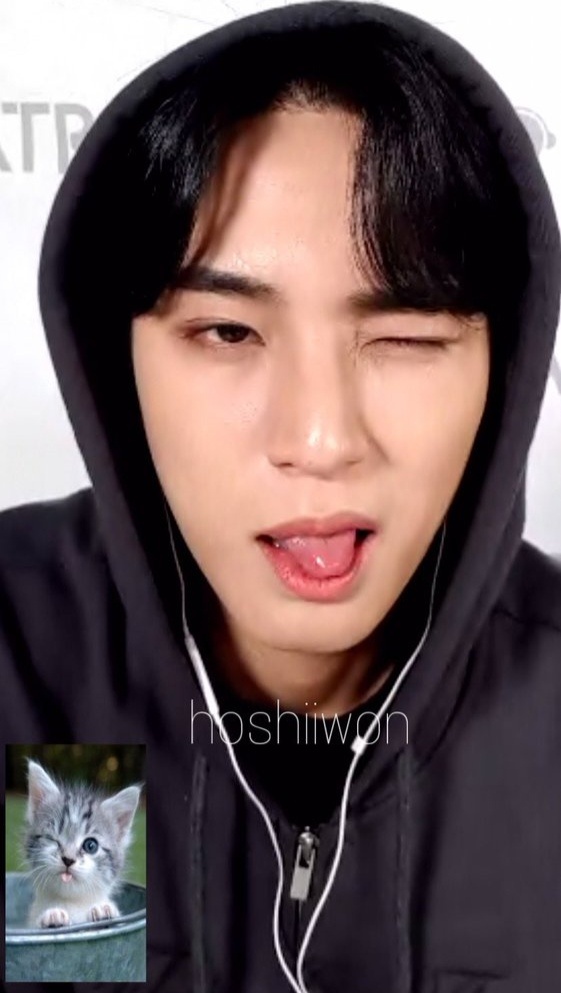 咪咪奎（点开大图即可看到模仿原型！）cr：hoshiiwon金珉奎