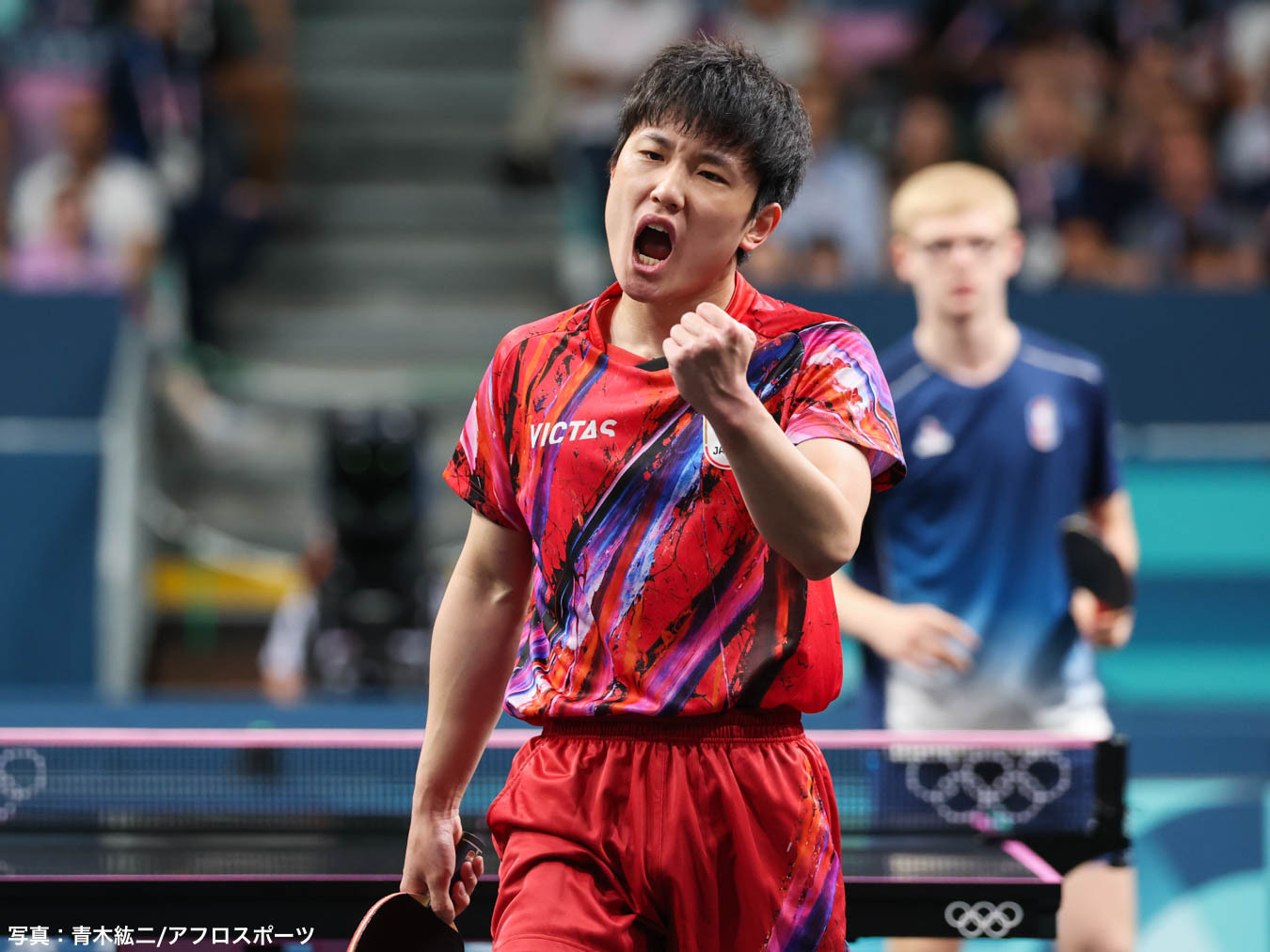 张本智和张本智和2026全日本乒乓球锦标赛 天皇杯・皇后杯2026年全日本乒乓球