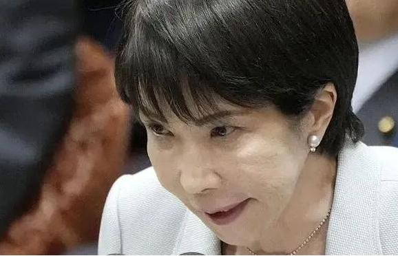 日本不怕中国有导弹，也不怕中国的核武器，甚至不怕中国的稀土制裁，他们害怕就是派往