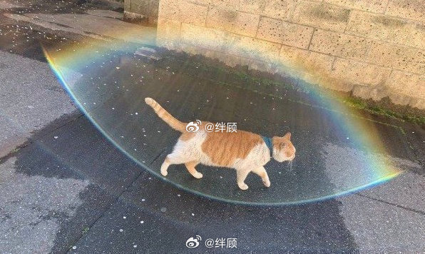10s内转发 你会好运附体 做什么都会成功 