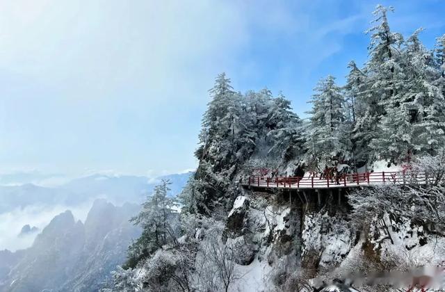 下雪啦！把老君山最新鲜的雪景送给你~