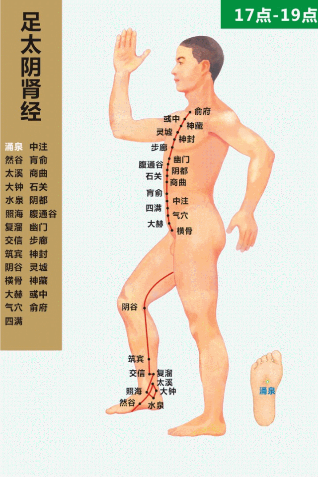 大腿上这六条经络，堵一条伤及全身！我们会发现，现代人的肥胖多集中在腰部和大腿，呈