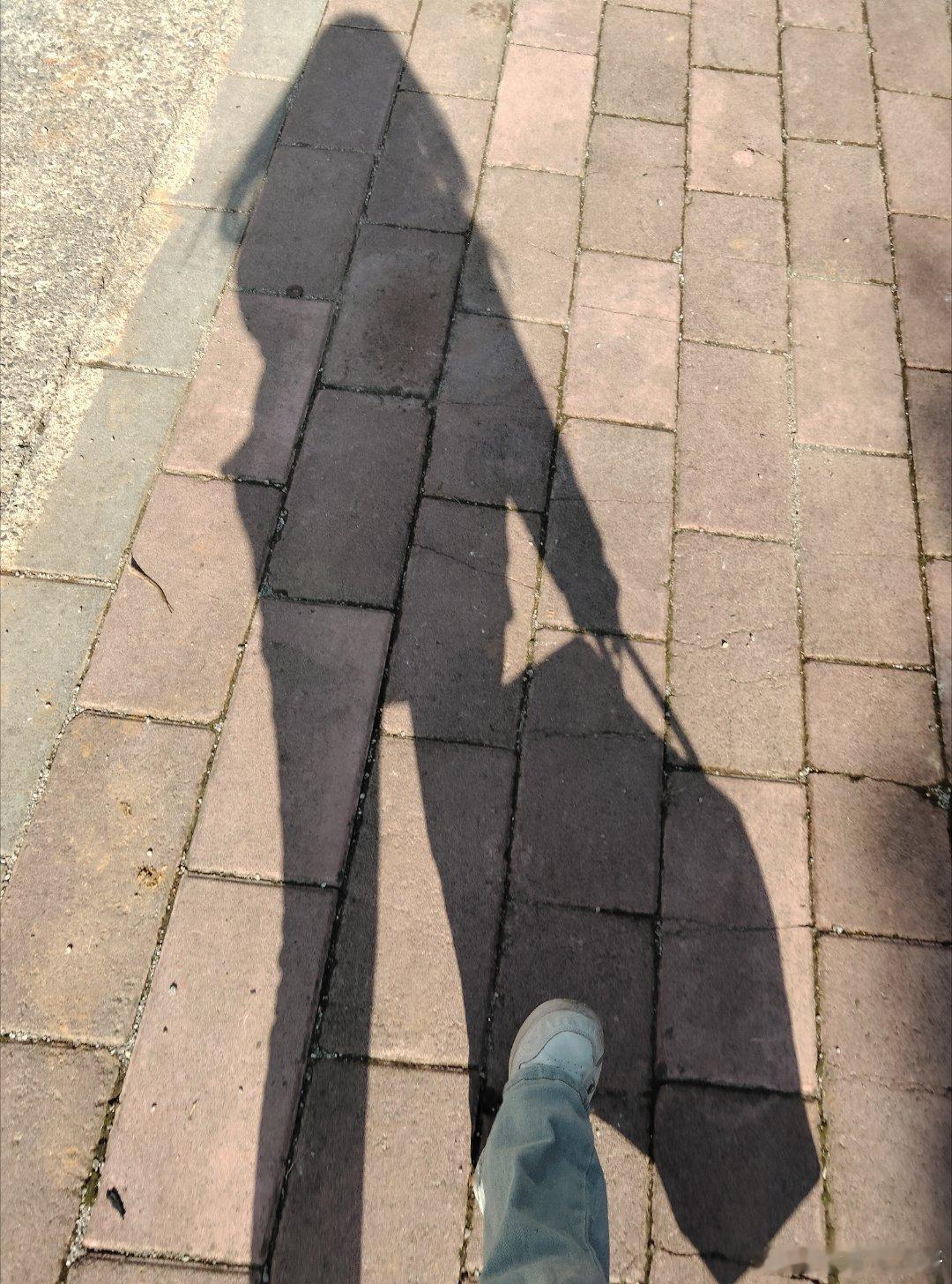 去等车中…… ​​​