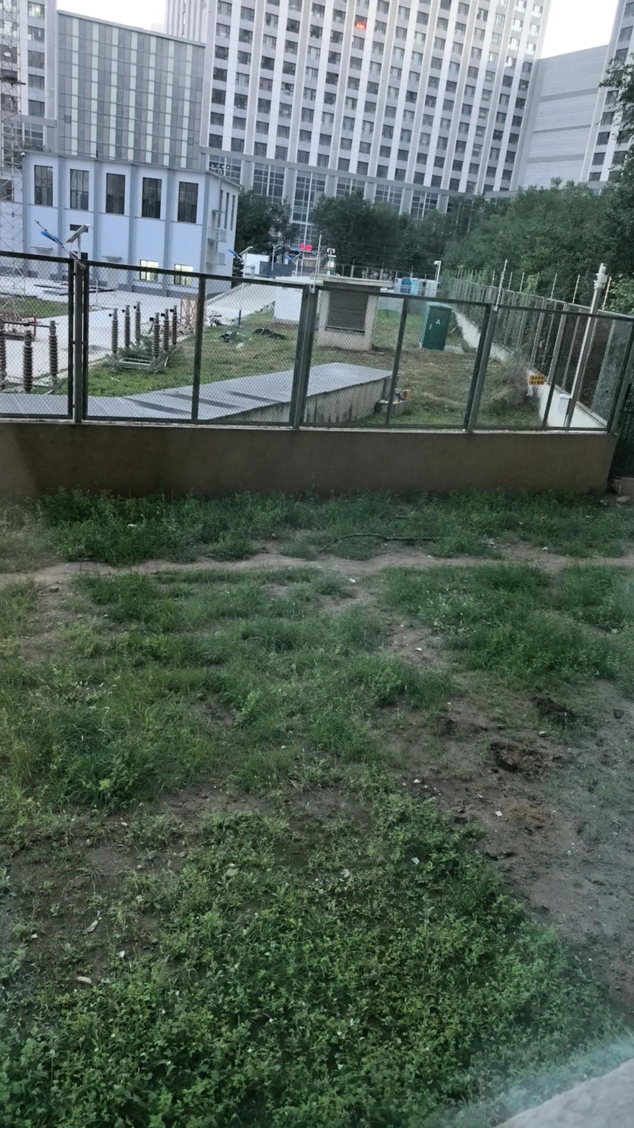 昨天下午，来到呼和浩特市新城区的一个老旧小区，房地产中介领着两位老年人看了一套房