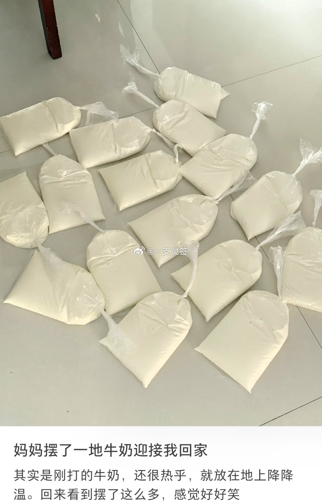 妈妈摆了一地牛奶迎接我回家 