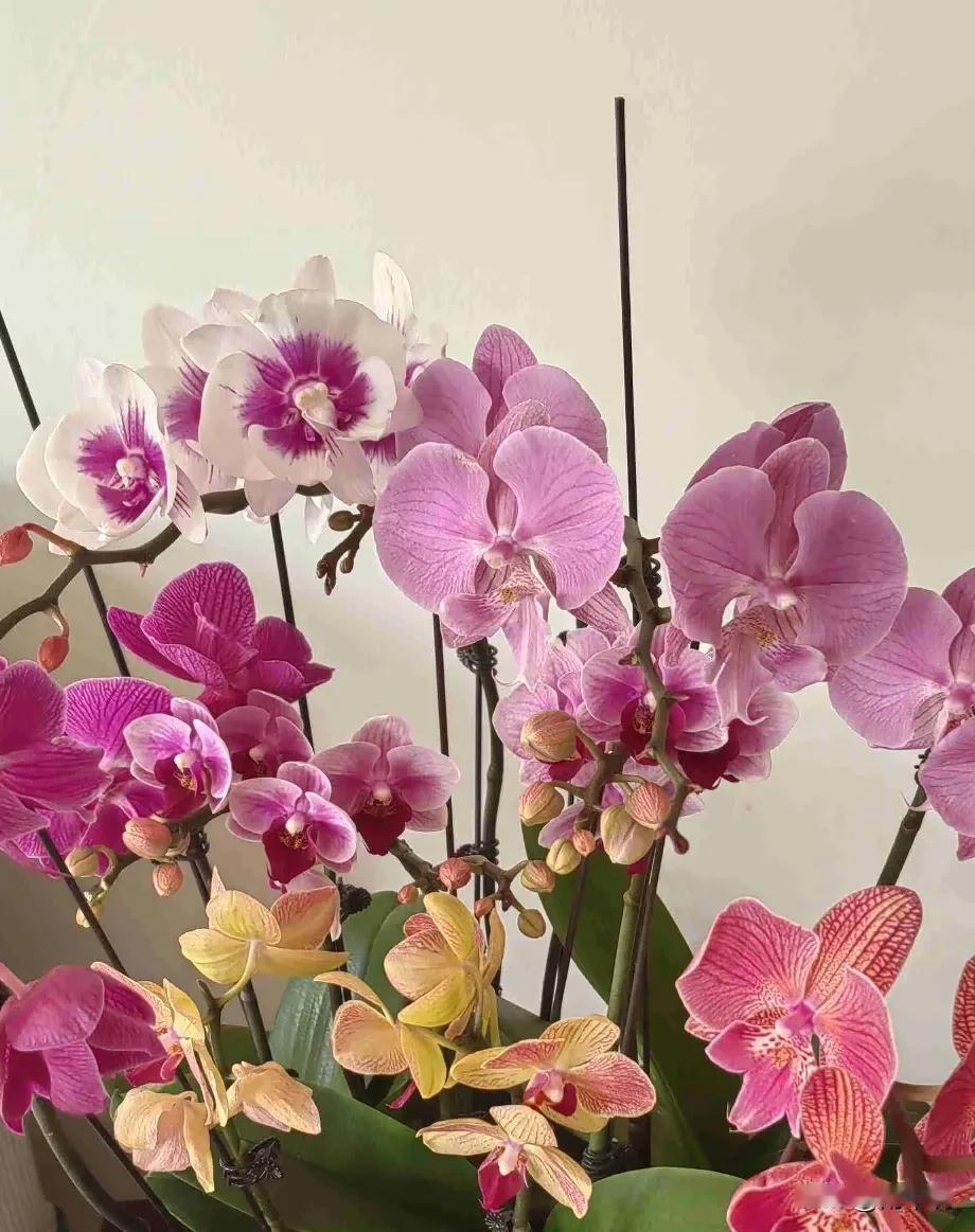 我的今日状态：😁轻松愉快
我这里的天气：☀️晴天