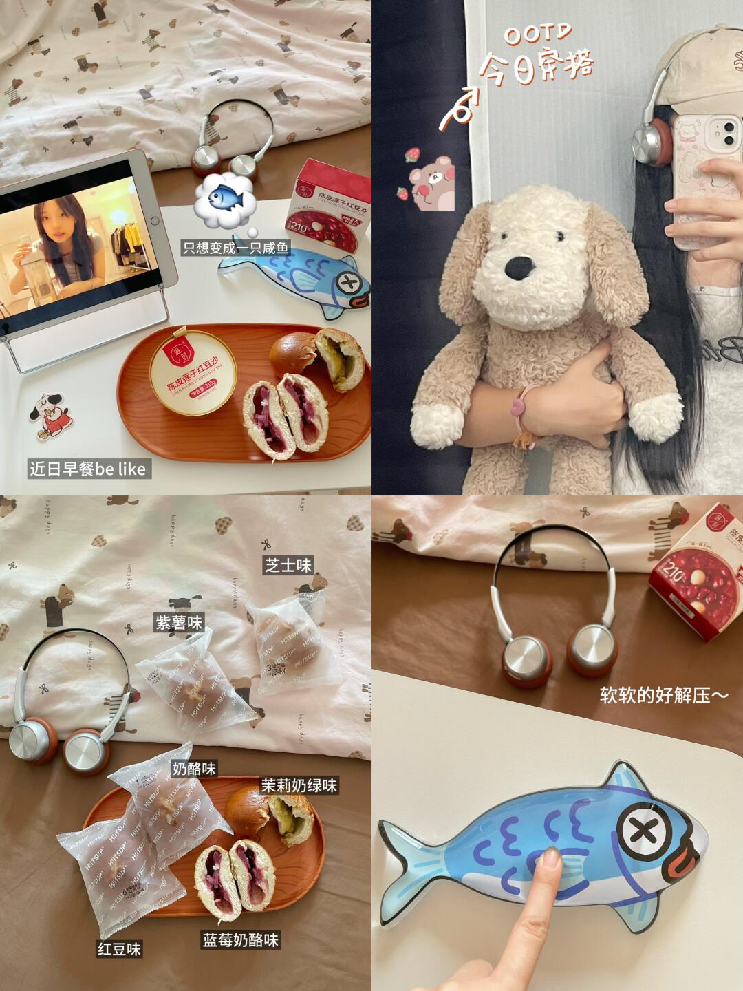 plog🥂：做自媒体后，就这个经济独立爽！