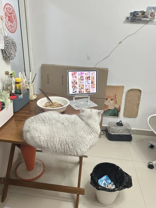 这里有一只想跟你一起吃饭的猫