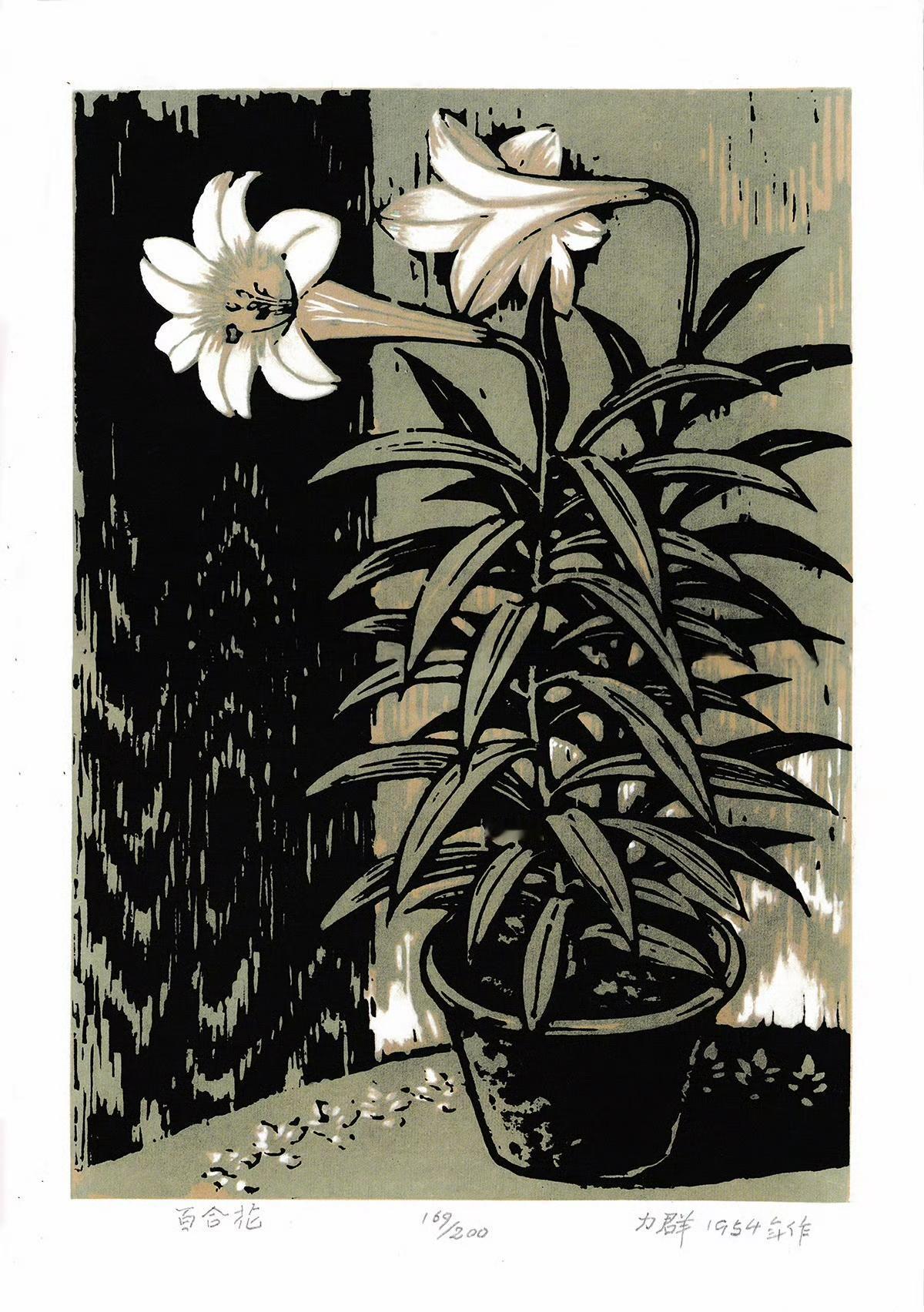 《百合花》力群