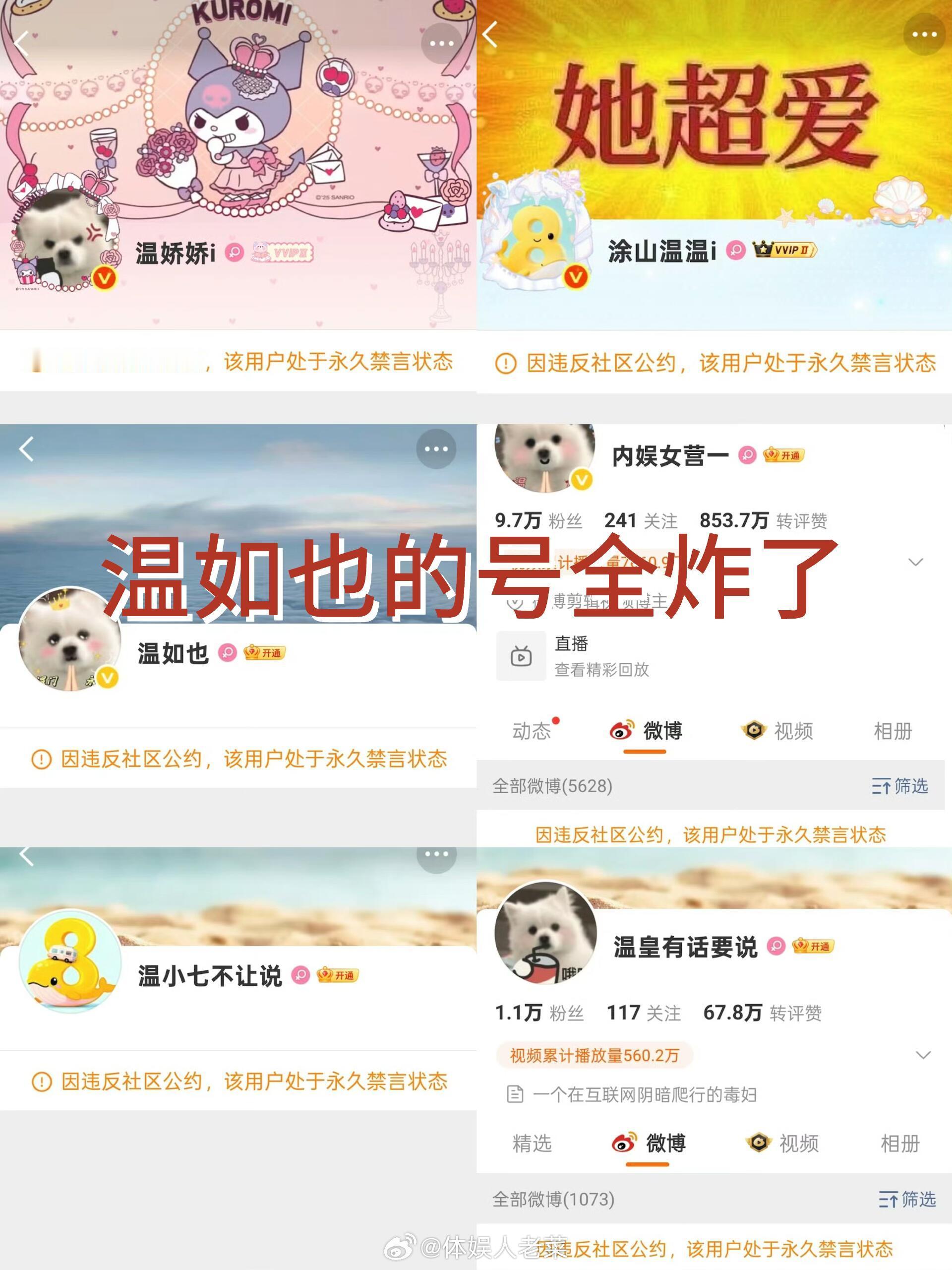 温如也的号全炸了，还能回来吗也子。。