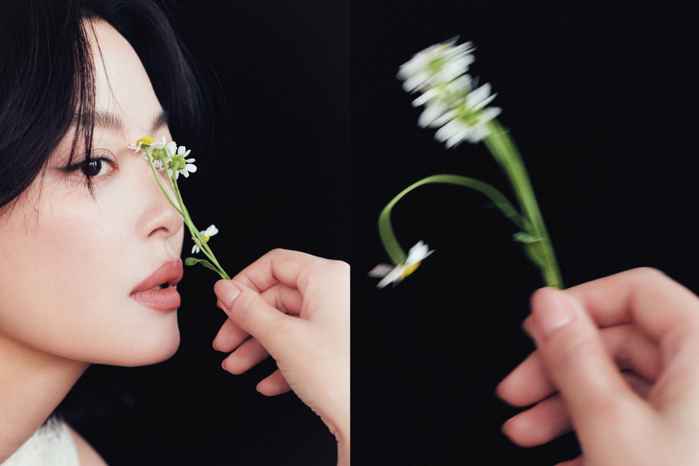 辛芷蕾溢出屏幕的生命力真好，我们蕾子的美又上升一个台阶，好怡然自得，沉稳自信自洽