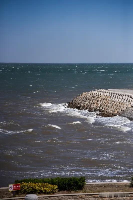 今年冬天的不同 今年冬天跟往年差异巨大。前阵子暖和得能穿单衣，樱花都提前开了，可