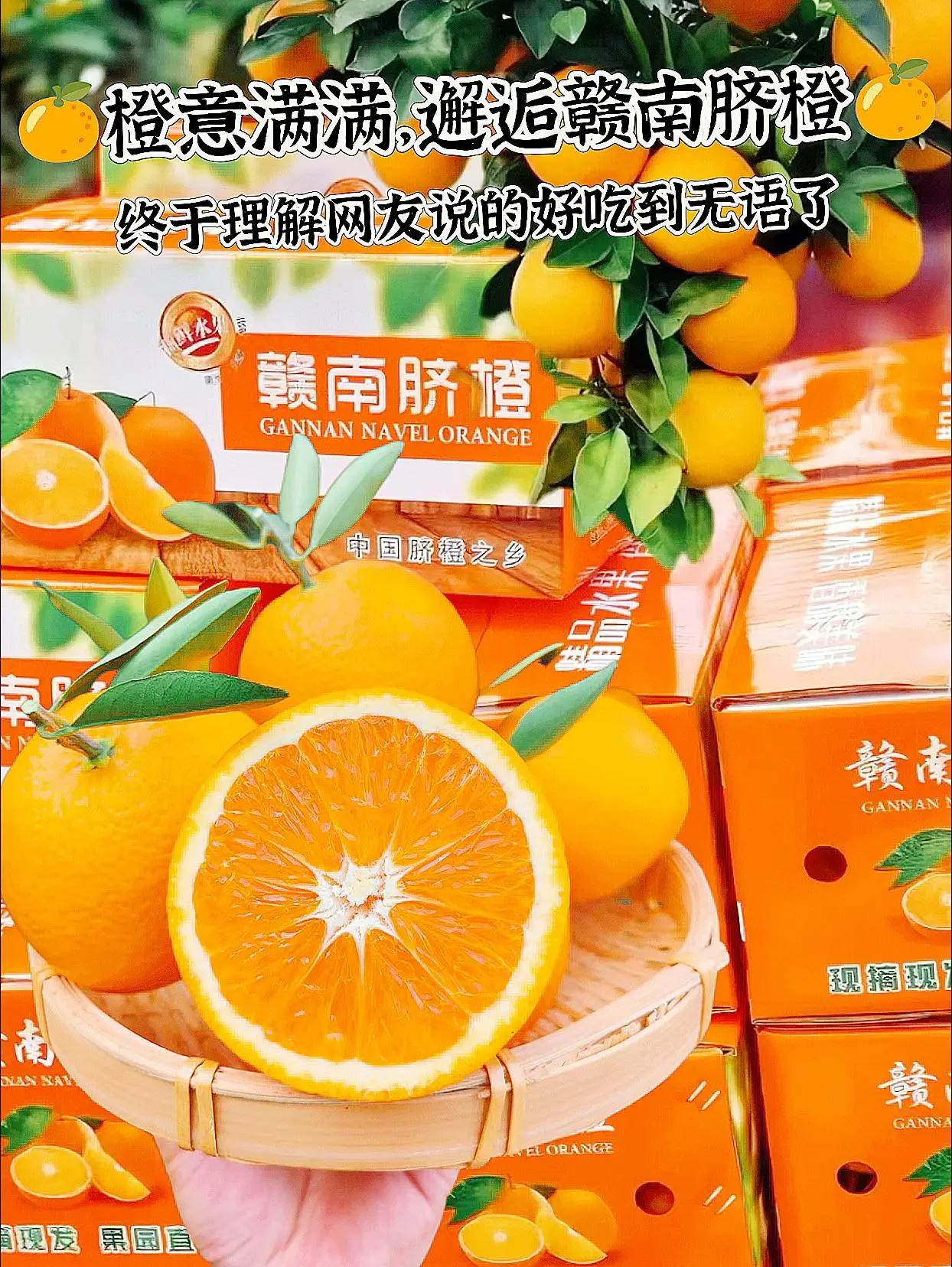 快来尝尝这个橙子，真的太好吃了，他就是来自江西赣州的赣南脐橙，每一个都...