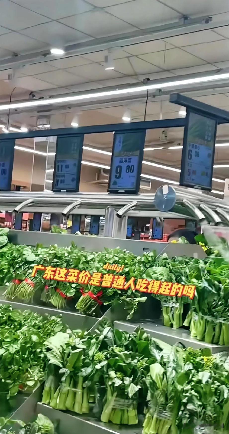 广东的青菜快吃不起了，广西人快点种青菜，只有广西人种青菜才能把价格打下来，因为广