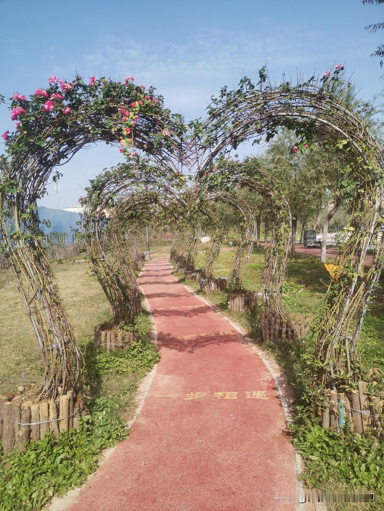 记录我的2026随手拍下每一天的美好