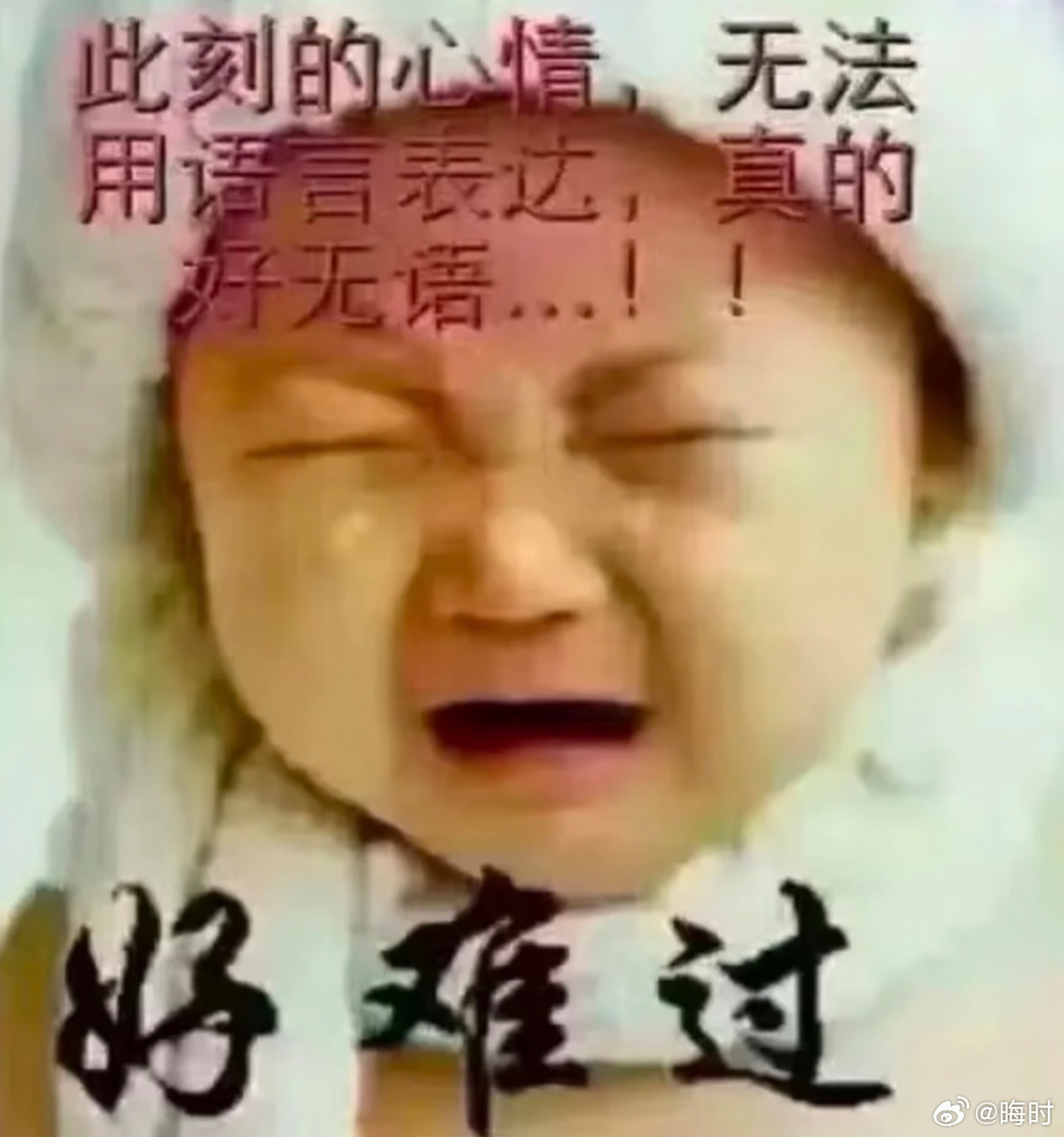 小白皓双非铁会被🐴吗 