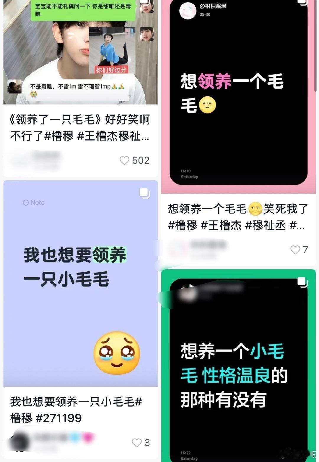 领养茅茅和猓猓的活动在哪里，我将给她们拍le片 