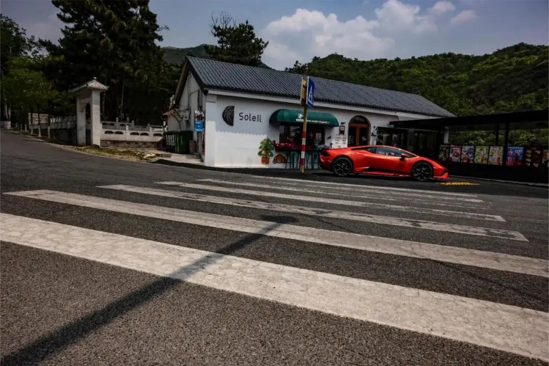 唯有牡丹真国色，花开时节动京城。 ​​​