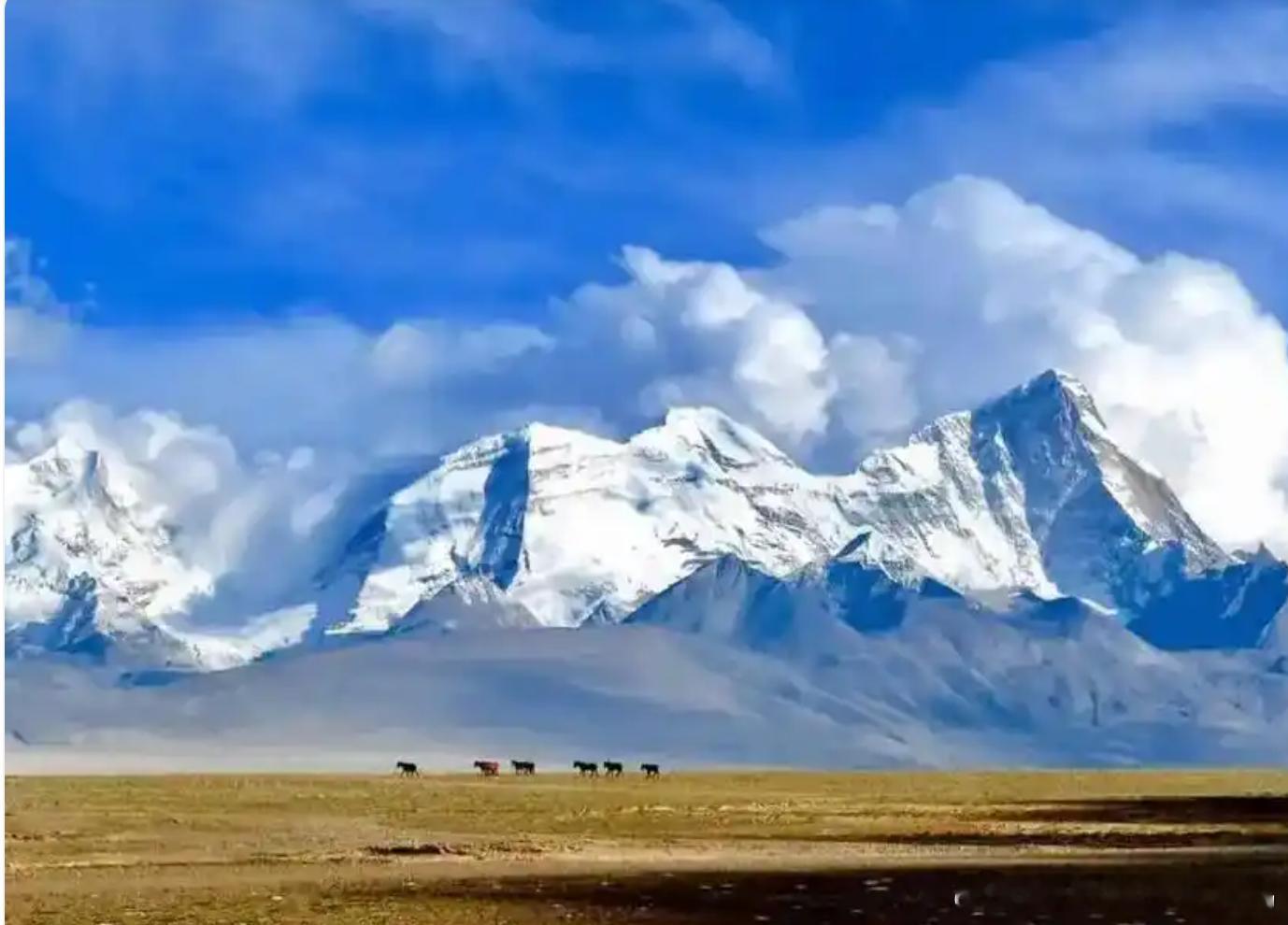 青藏高原有多处远古人类痕迹青藏高原远古时代就有人了 一座皮洛遗址，汇聚四方文明精