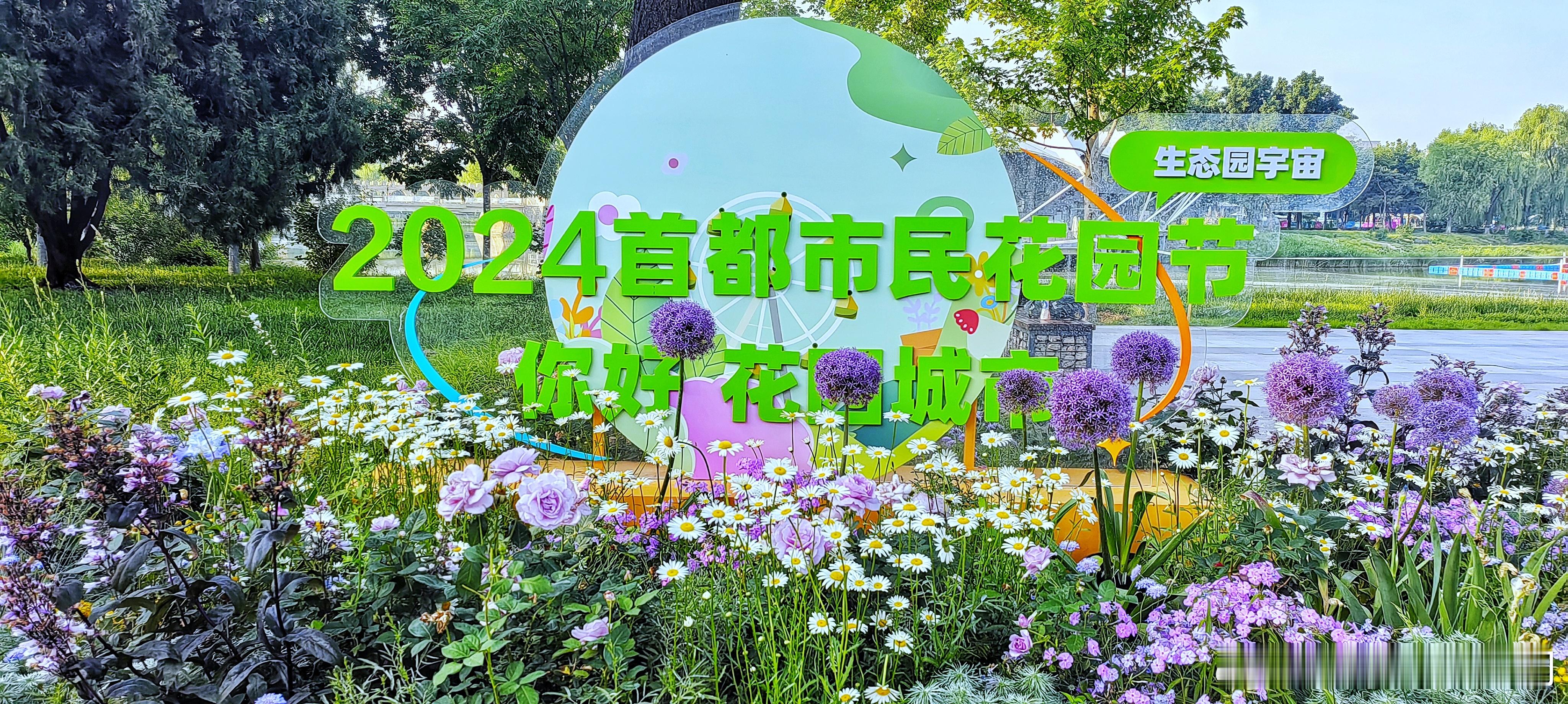 北京龙潭中湖公园首都市民花园节2024.5.7摄影​​​