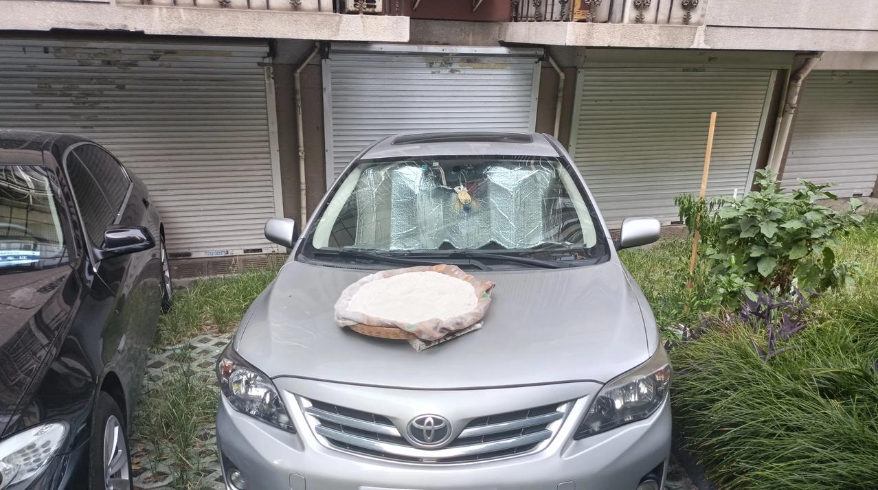 也不知道哪位大爷大妈如此关心我，怕我饿肚子，在这样酷暑的天气里还要给我送温暖。
