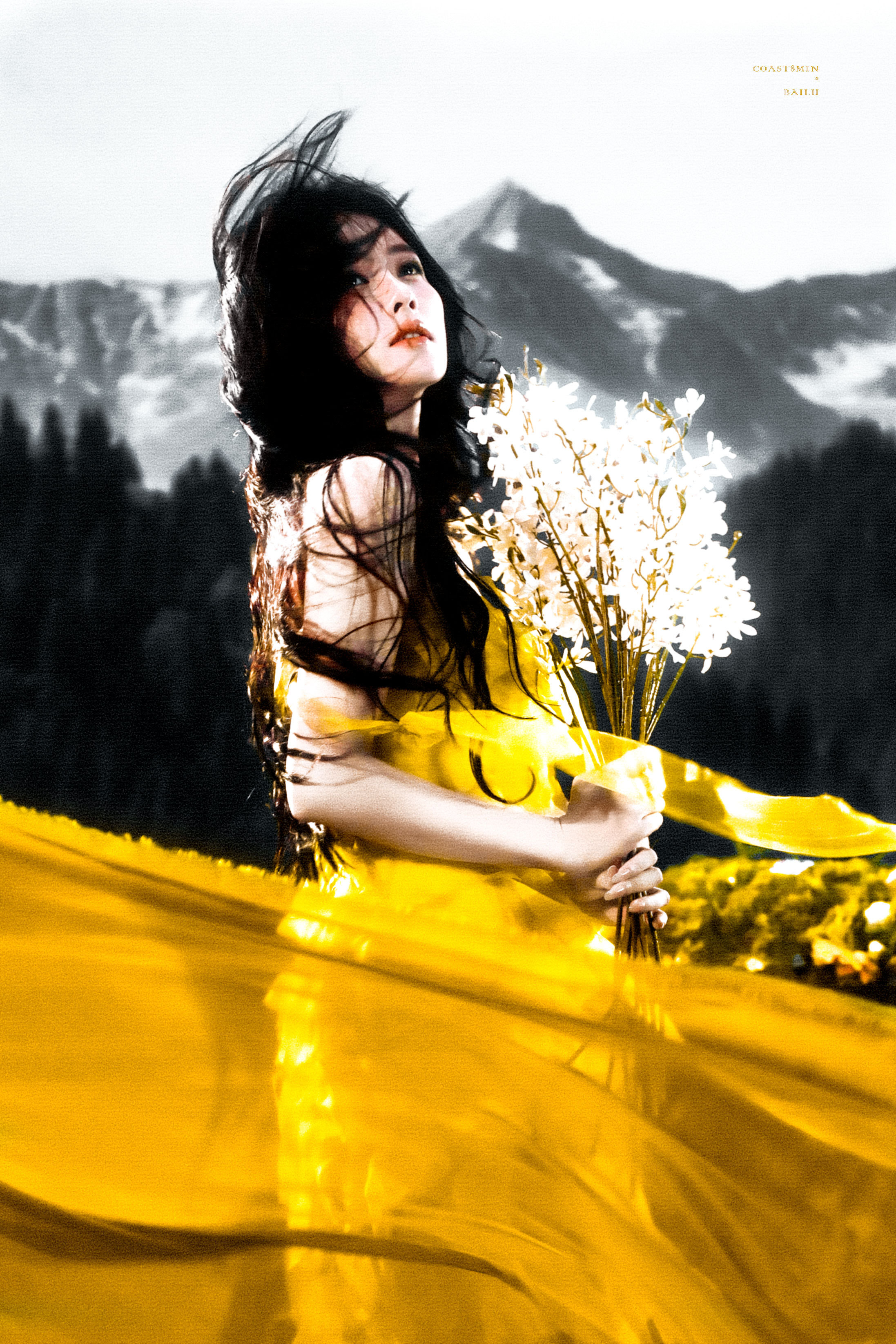 白鹿 * 金色世界 ​​​​