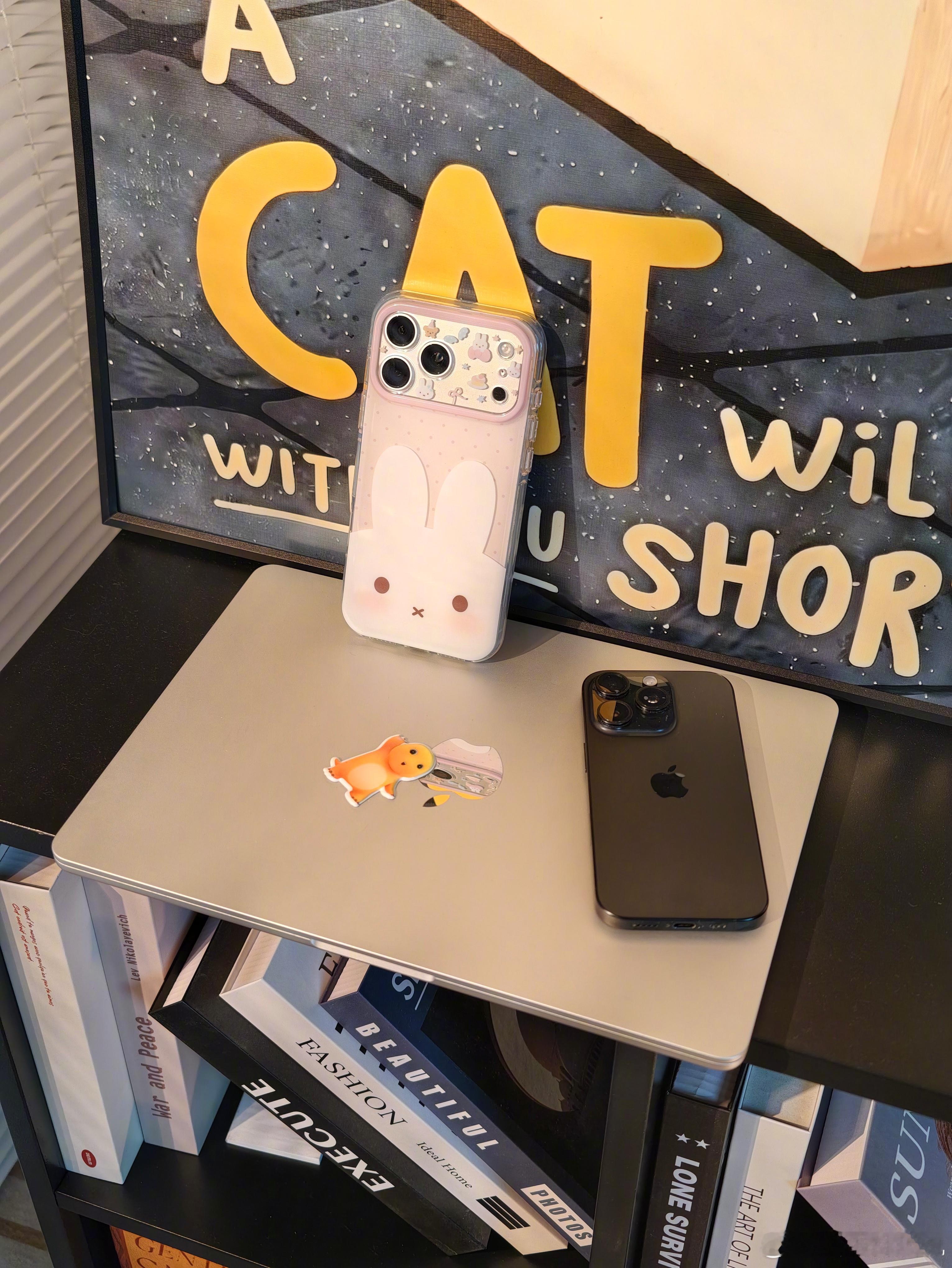 我的iPhone配件清单 作为常年使用苹果的用户，整理了一套实用的iPhone配