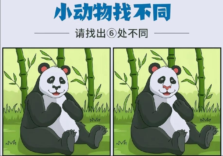 火了！胖熊猫的找不同，90%的人漏了2处，评论区晒你的答案证明是细节控